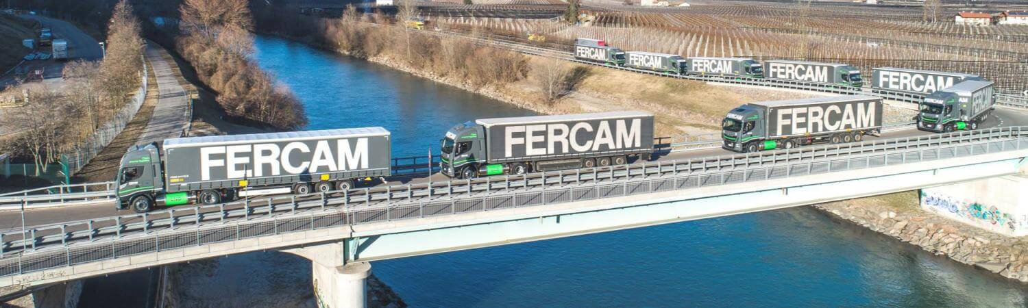 I servizi della divisione Transport di FERCAM